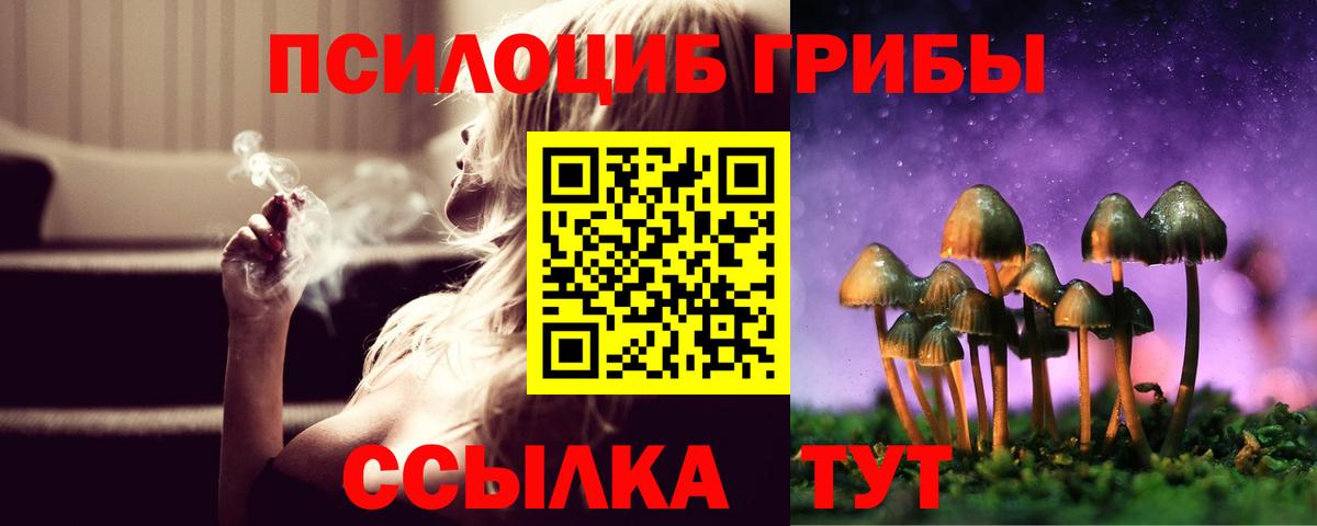 Псилоцибиновые грибы мухоморы Жигулёвск